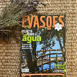 O Violas - Art Coffee & Guest house