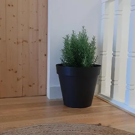 O Violas - Art Coffee & פראיה דה מירה