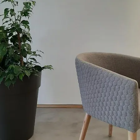 O Violas - Art Coffee & בית הארחה פראיה דה מירה