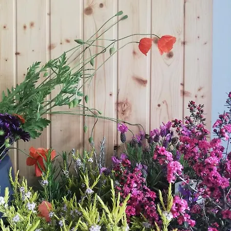 O Violas - Art Coffee &