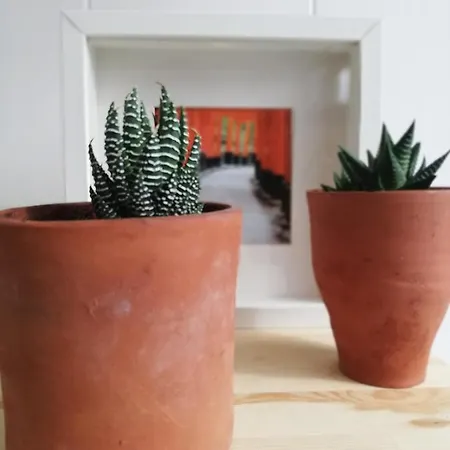 בית הארחה O Violas - Art Coffee & פראיה דה מירה