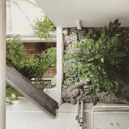 בית הארחה O Violas - Art Coffee & 3*