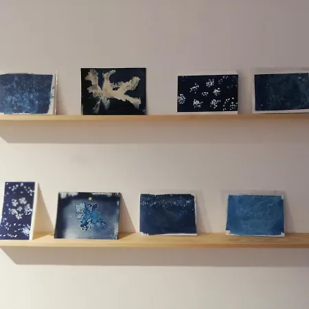 O Violas - Art Coffee & פראיה דה מירה