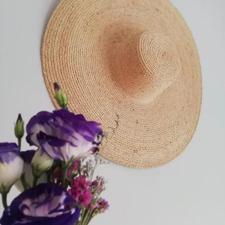 O Violas - Art Coffee & 3* פראיה דה מירה