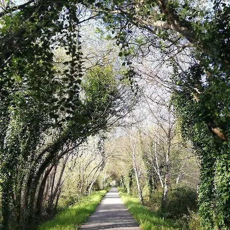 O Violas - Art Coffee & בית הארחה 3*