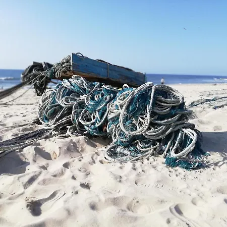 O Violas - Art Coffee &