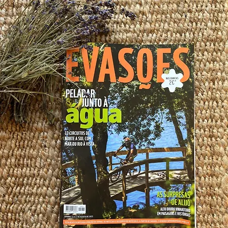 O Violas - Art Coffee & בית הארחה