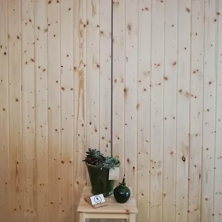 Casa de hóspedes O Violas - Art Coffee & 3*