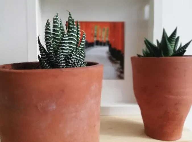 Casa de hóspedes O Violas - Art Coffee & Praia de Mira