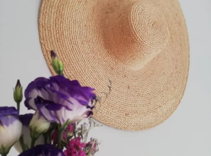 O Violas - Art Coffee & 3* Praia de Mira