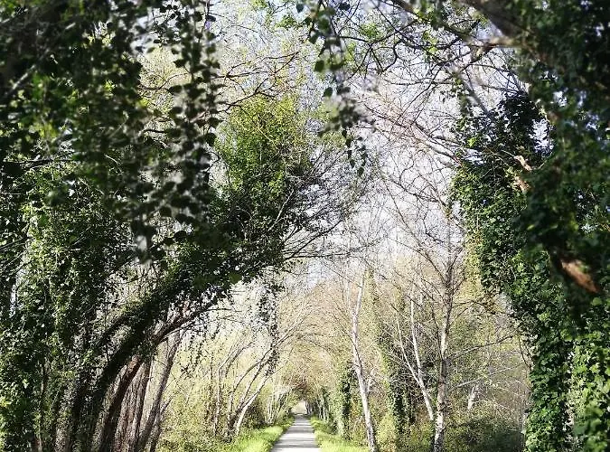 O Violas - Art Coffee & Casa de hóspedes 3*