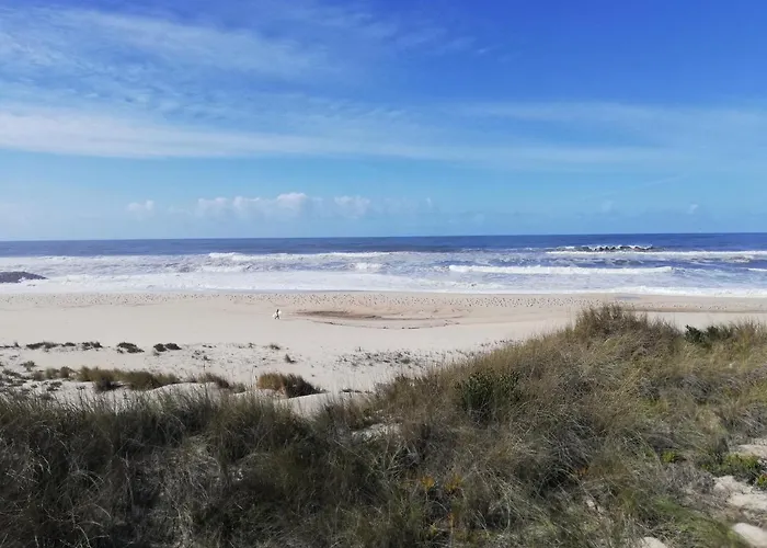 O Violas - Art Coffee & 3* Praia de Mira