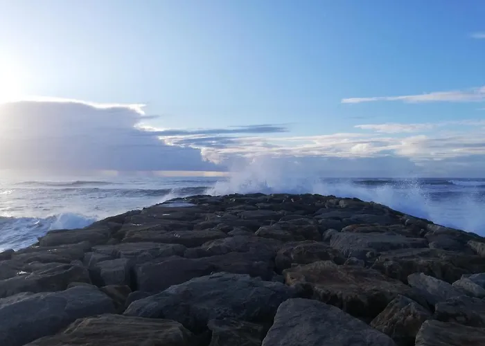 Casa de hóspedes O Violas - Art Coffee &