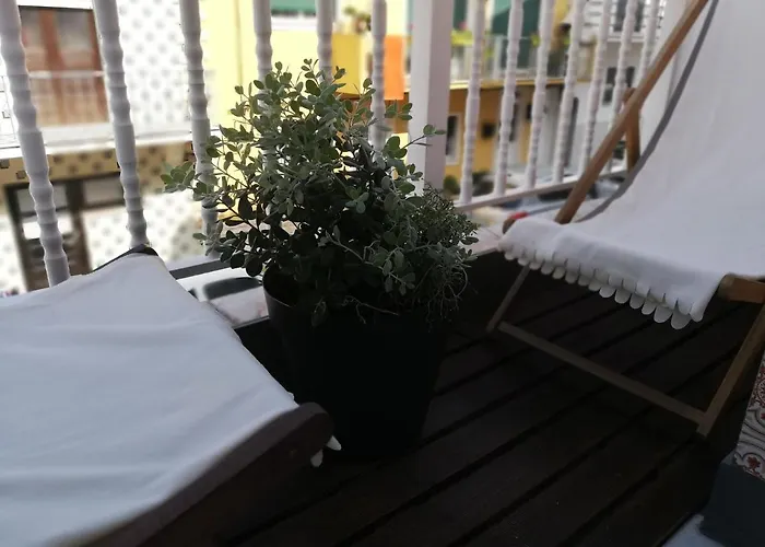 O Violas - Art Coffee &