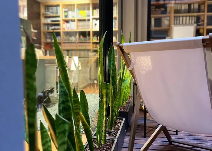 O Violas - Art Coffee & Casa de hóspedes 3*