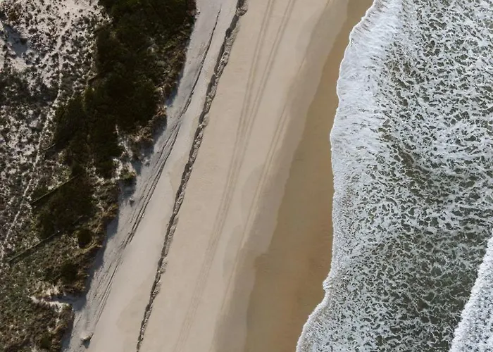 O Violas - Art Coffee &