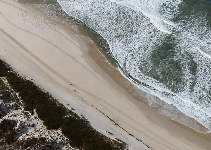 Casa de hóspedes O Violas - Art Coffee & 3*