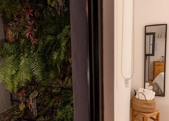 O Violas - Art Coffee & 3* Praia de Mira