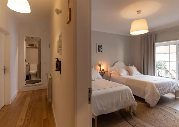 O Violas - Art Coffee & 3*