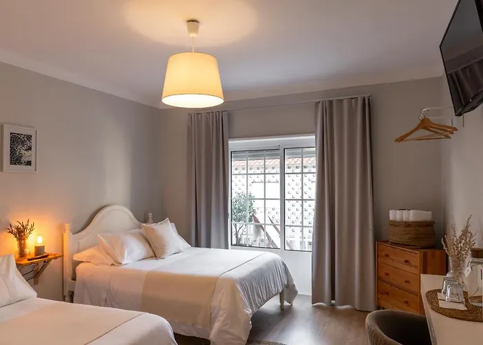 O Violas - Art Coffee & 3*