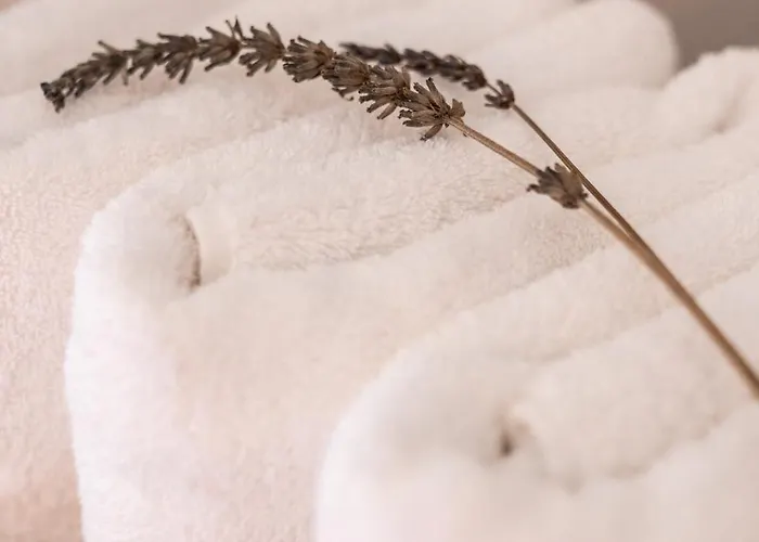 O Violas - Art Coffee &